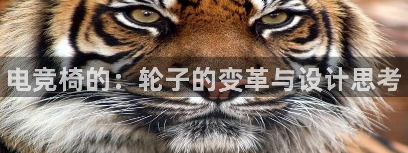 火博电竞官网入口