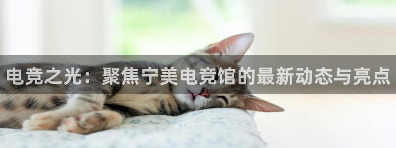 火博电竞