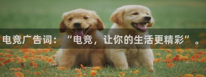 火博电竞官网入口：电竞广告词：“电竞，让你的生活更精彩”。