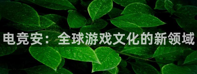 火博电竞app官网网站：电竞安：全球游戏文化的新领域