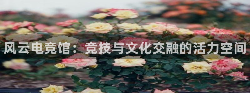 火博电竞官网入口：风云电竞馆：竞技与文化交融的活力空间