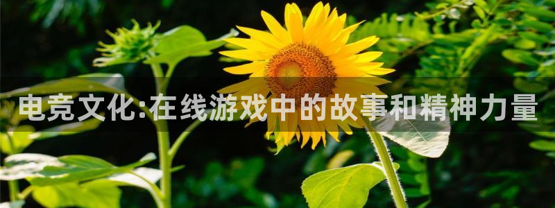 火博电竞app官网网站：电竞文化:在线游戏中的故事和精神力量