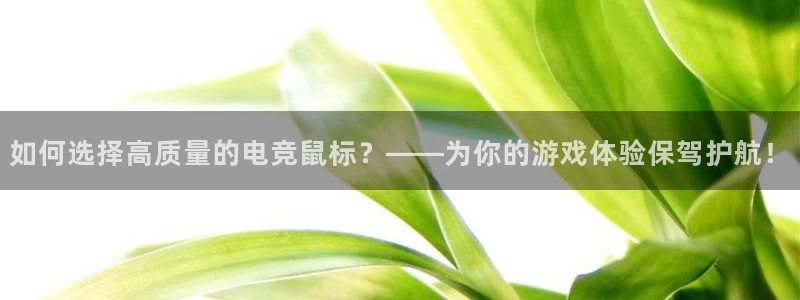 火博电竞网站：如何选择高质量的电竞鼠标？——为你的游戏体验保驾护航！
