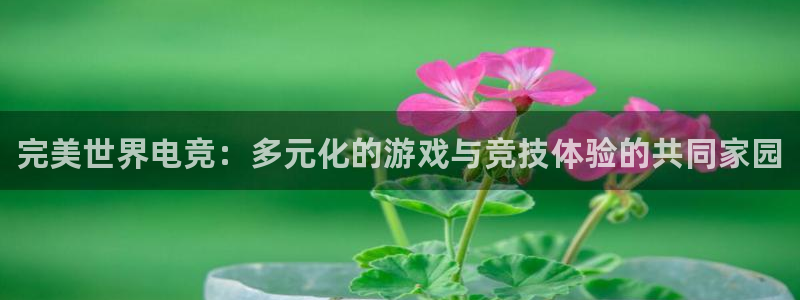 火博电竞app官网网站：完美世界电竞：多元化的游戏与竞技体验的共同家园