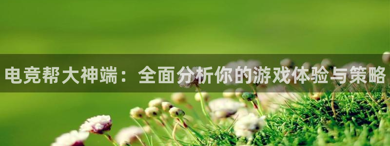 火博电竞官网入口：电竞帮大神端：全面分析你的游戏体验与策略
