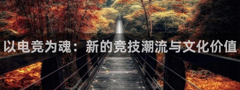 火博电竞官网入口：以电竞为魂：新的竞技潮流与文化价值