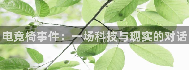 火博电竞