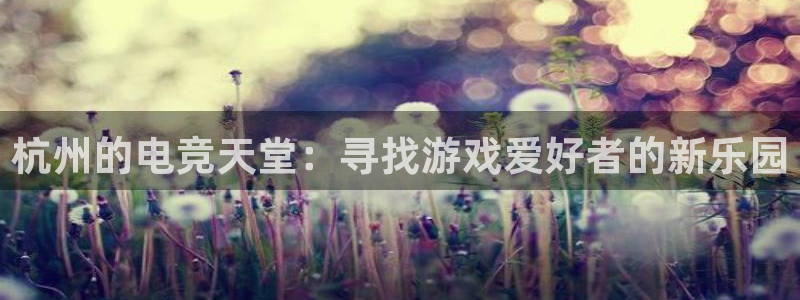 火博电竞网站：杭州的电竞天堂：寻找游戏爱好者的新乐园