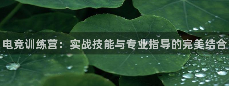 火博电竞网站：电竞训练营：实战技能与专业指导的完美结合