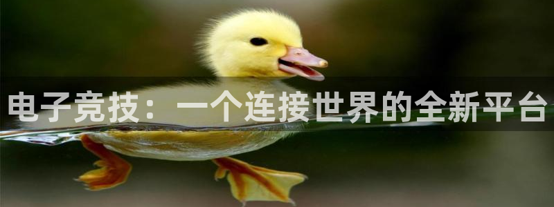 火博电竞app官网网站：电子竞技：一个连接世界的全新平台