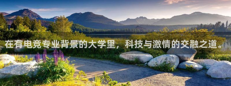 火博电竞：在有电竞专业背景的大学里，科技与激情的交融之道。