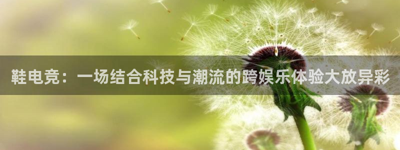 火博电竞app官网网站：鞋电竞：一场结合科技与潮流的跨娱乐体验大放异彩