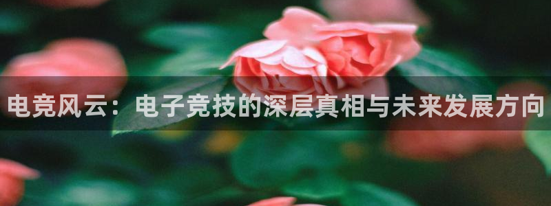 火博电竞官网入口：电竞风云：电子竞技的深层真相与未来发展方向