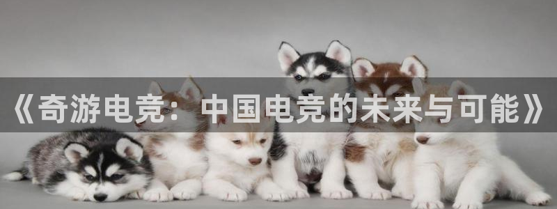 火博电竞官网入口：《奇游电竞：中国电竞的未来与可能》