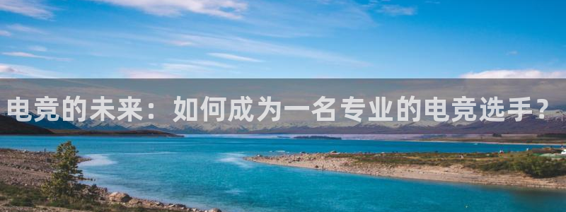 火博电竞网站：电竞的未来：如何成为一名专业的电竞选手？