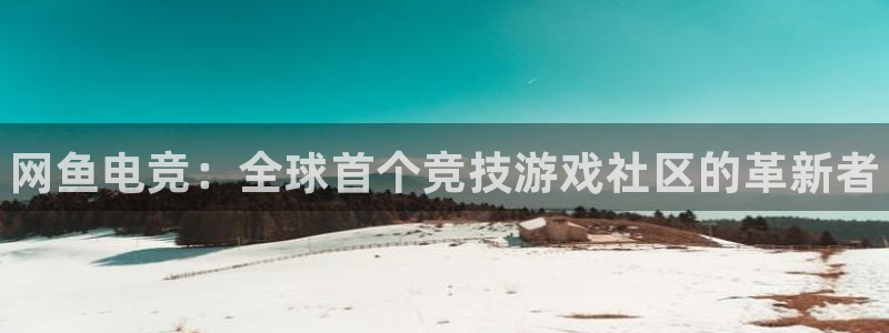 火博电竞网站：网鱼电竞：全球首个竞技游戏社区的革新者