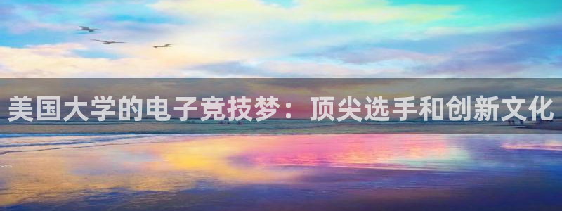 火博电竞网站：美国大学的电子竞技梦：顶尖选手和创新文化