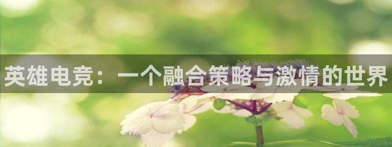 火博电竞官网入口：英雄电竞：一个融合策略与激情的世界