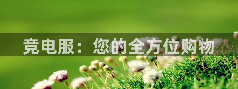火博电竞网站：竞电服：您的全方位购物