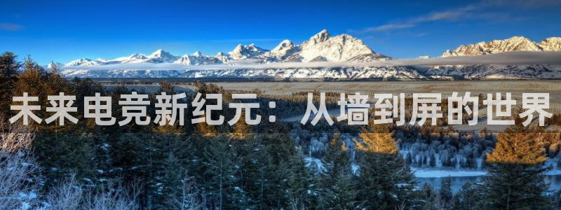 火博电竞：未来电竞新纪元：从墙到屏的世界