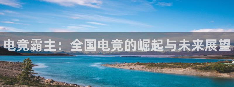 火博电竞app官网网站：电竞霸主：全国电竞的崛起与未来展望