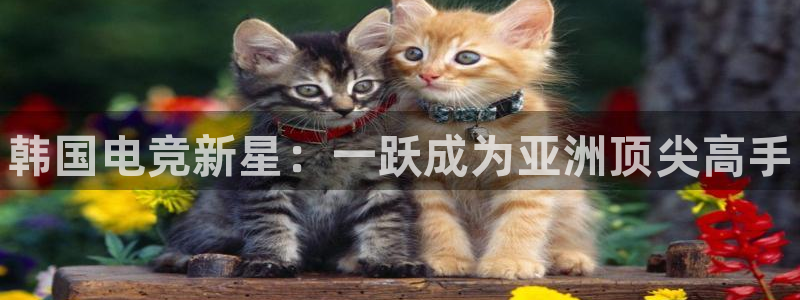 火博电竞网站：韩国电竞新星：一跃成为亚洲顶尖高手
