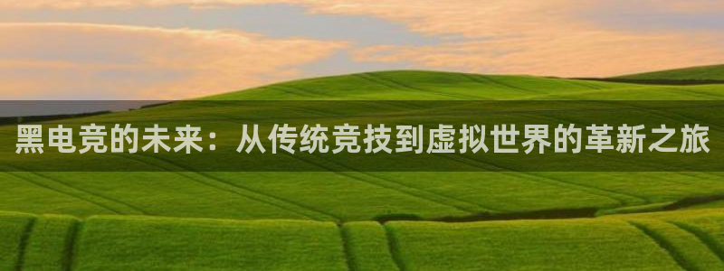 火博电竞官网入口：黑电竞的未来：从传统竞技到虚拟世界的革新之旅