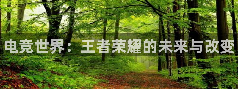 火博电竞网站：电竞世界：王者荣耀的未来与改变