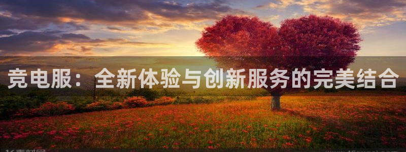 火博电竞网站：竞电服：全新体验与创新服务的完美结合
