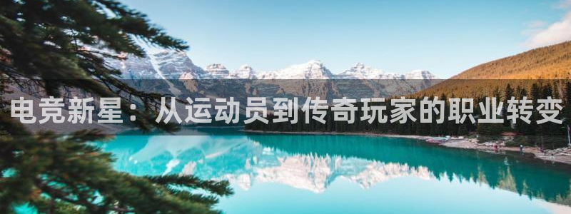 火博电竞官网入口