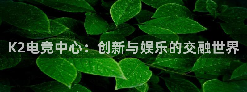 火博电竞网站：K2电竞中心：创新与娱乐的交融世界