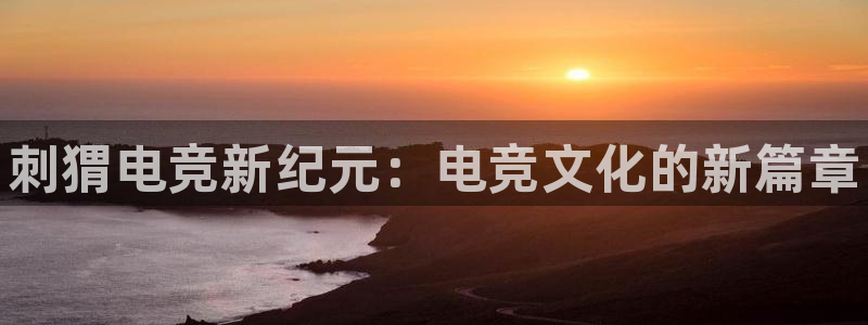 火博电竞网站：刺猬电竞新纪元：电竞文化的新篇章