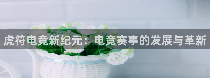 火博电竞官网入口：虎符电竞新纪元：电竞赛事的发展与革新