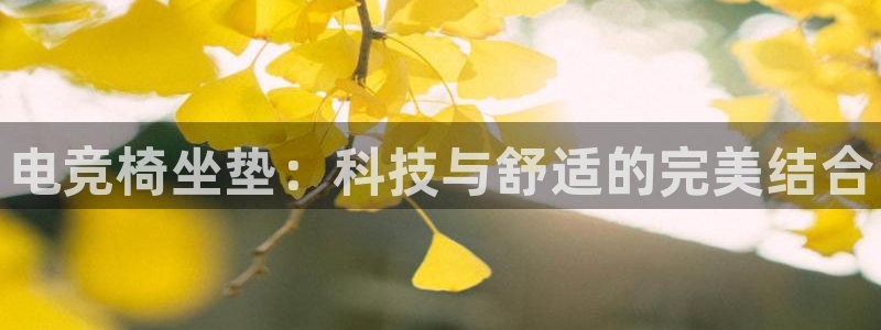 火博电竞官网入口：电竞椅坐垫：科技与舒适的完美结合