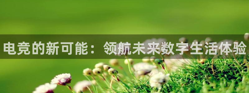 火博电竞app官网网站：电竞的新可能：领航未来数字生活体验