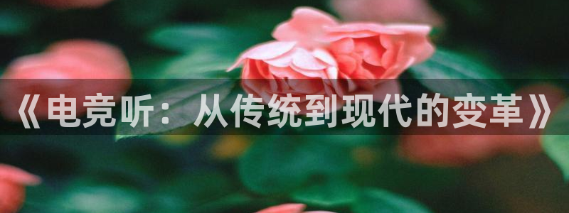 火博电竞网站：《电竞听：从传统到现代的变革》