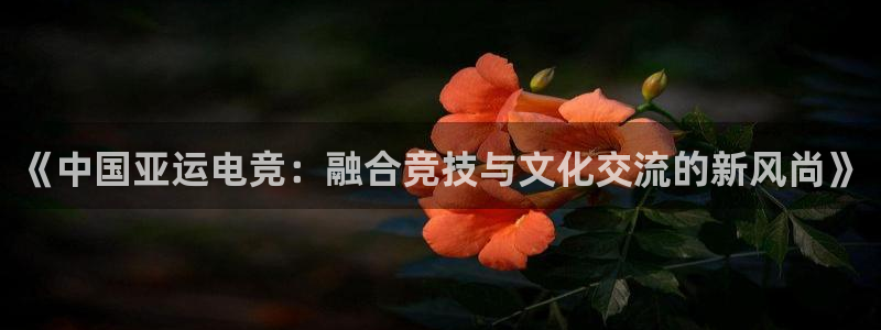 火博电竞app官网网站：《中国亚运电竞：融合竞技与文化交流的新风尚》
