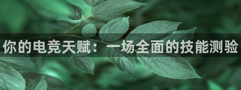 火博电竞网站：你的电竞天赋：一场全面的技能测验