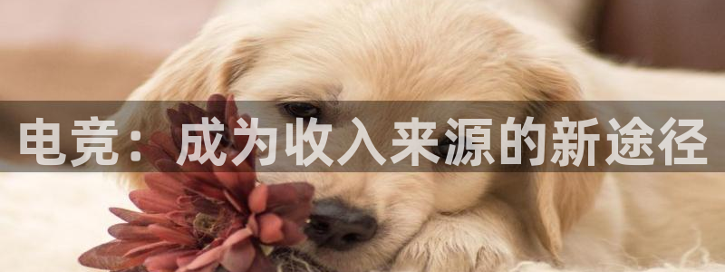 火博电竞官网入口：电竞：成为收入来源的新途径