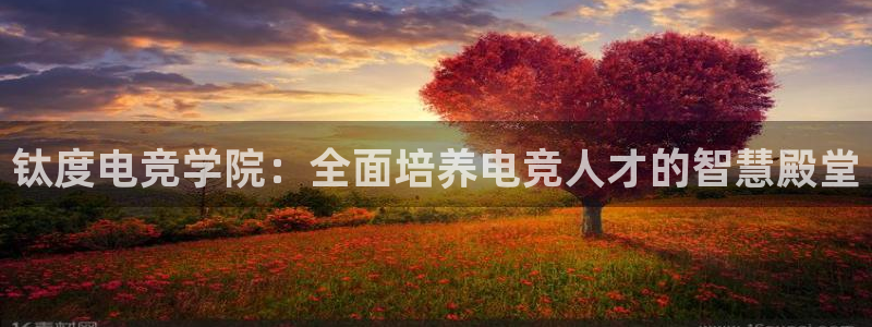 火博电竞官网入口：钛度电竞学院：全面培养电竞人才的智慧殿堂