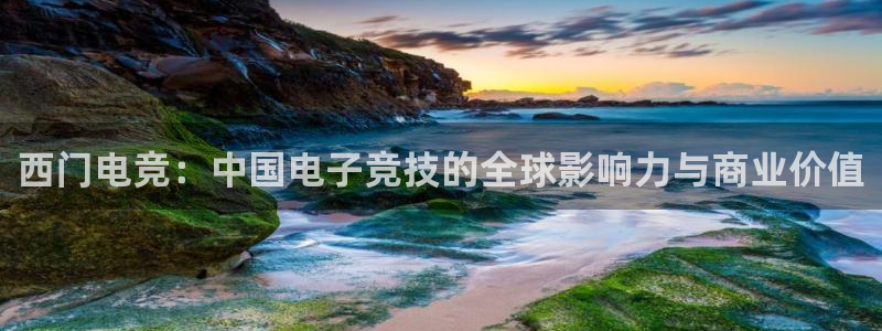 火博电竞：西门电竞：中国电子竞技的全球影响力与商业价值