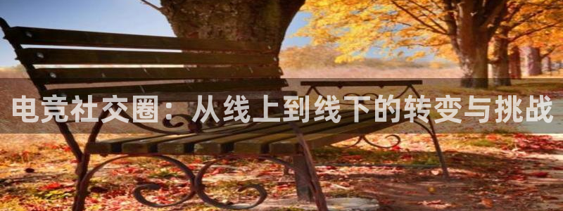 火博电竞：电竞社交圈：从线上到线下的转变与挑战