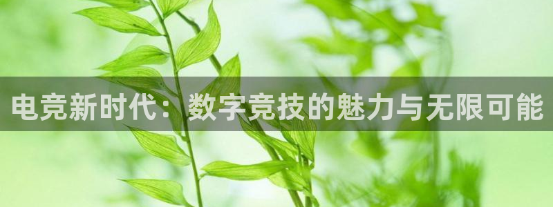 火博电竞网站：电竞新时代：数字竞技的魅力与无限可能